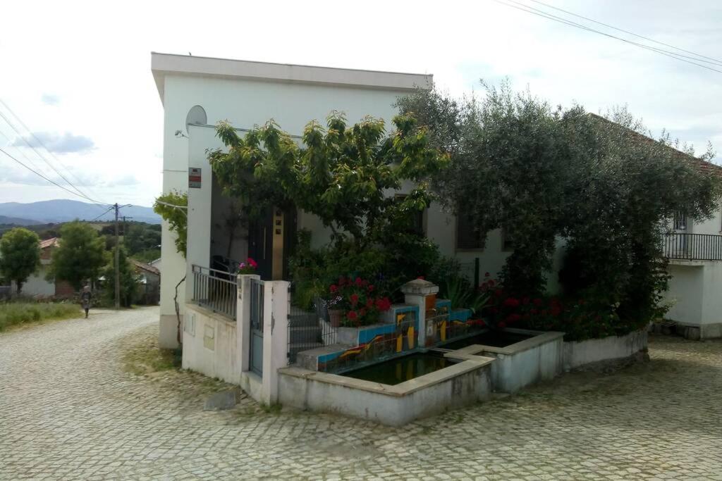 Apartamento Casa Da Oliveira Milhão Exterior foto