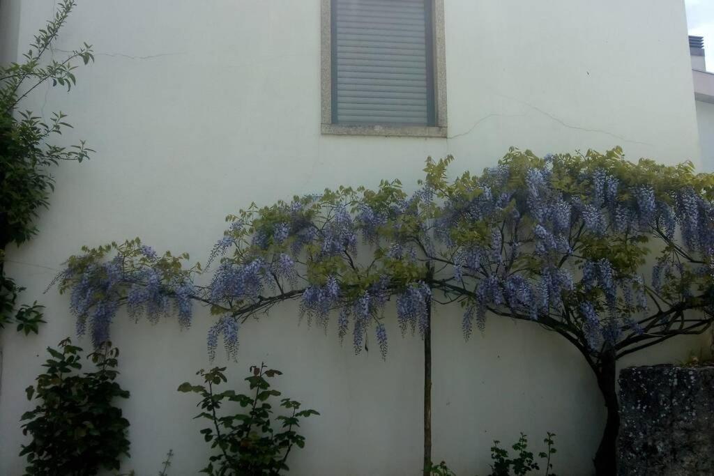 Apartamento Casa Da Oliveira Milhão Exterior foto